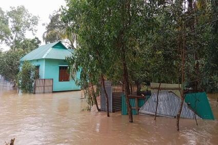 দুর্গত এলাকায় ৩৬ লাখ পানি বিশুদ্ধকরণ ট্যাবলেট বিতরণ করা হয়েছে