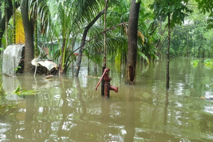 কমলনগরে বেড়েছে বন্যার পানি,দেখা দিয়েছে খাদ্যের অভাব 