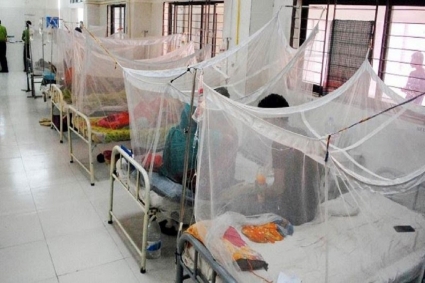 নভেম্বরের ১৭ দিনে ডেঙ্গুতে ১০০ জনের মৃত্যু