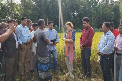 ধানখেতে নেমে কৃষকের সমস্যা-সম্ভাবনা জানলেন সারা গিলাস্কি
