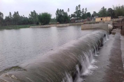 চাচিকে বাঁচাতে গিয়ে প্রাণ গেল ভাতিজির