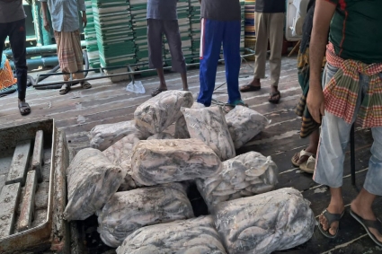 কর্ণফুলীতে ৩৭৮ কেজি জাটকা জব্দ