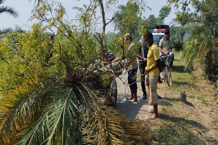 রোগীবাহী পাখিভ্যানে ছিনতাই, চালককে কুপিয়ে নগদ টাকা লুট