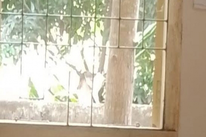 পুলিশ ফাঁড়ির জানালার গ্রিল ভেঙে পালাল মাদক ব্যবসায়ী