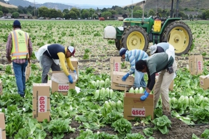 আজ ঢাকায় আসছেন ইতালির স্বরাষ্ট্রমন্ত্রী ৬০ হাজার কর্মীর ভিসা ‘জট’ খোলার তাগিদ দেবে বাংলাদেশ