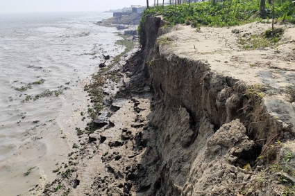 তীব্র নদী ভাঙনের কবলে ভোলার শিবপুর, হুমকিতে শহর রক্ষা বাঁধ