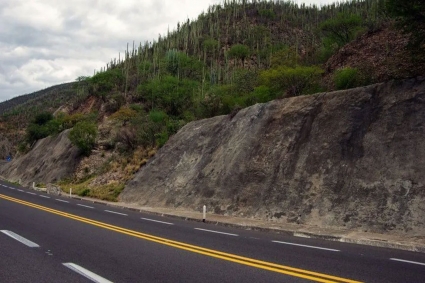 হাইওয়েতে ওভারটেক করতে গিয়ে ট্র্যাজেডি, মেক্সিকোতে নিহত বহু