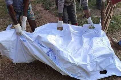 বিদ্যুৎস্পৃষ্ট হয়ে কৃষকের মৃত্যু, বাঁচাতে গিয়ে প্রাণ গেল আরেকজনের