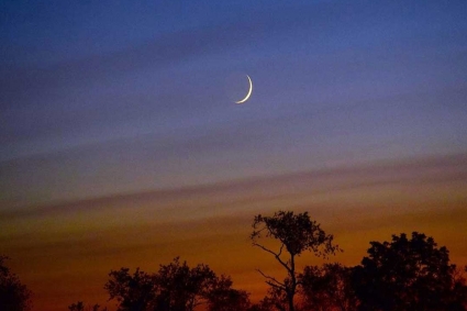 ঈদুল আজহা কবে জানা যাবে সন্ধ্যায়