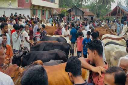হাটে ছাগল বিক্রি করতে এসে কৃষকের মৃত্যু 