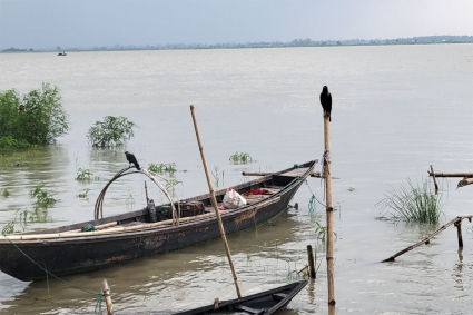 রাজবাড়ীর সব নদ-নদীর পানি বাড়ছে