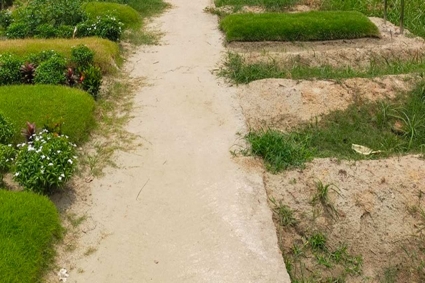 মৃত্যুর কারণ অনুসন্ধানে ১১৪ জনের মরদেহ উত্তোলনের নির্দেশ