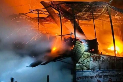 মধ্যরাতে আগুনে সেনবাগের ১২ দোকান পুড়ে ছাই