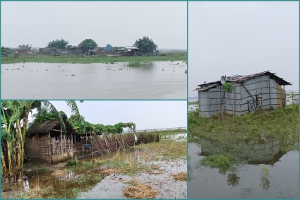 বিপৎসীমার কাছাকাছি পদ্মার পানি, ডুবেছে চর