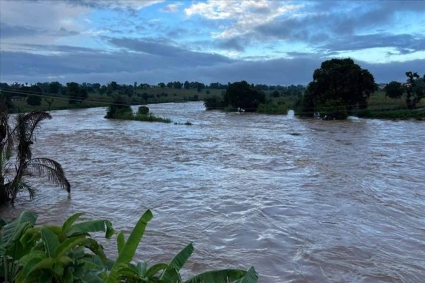 নাইজারে ভয়াবহ বন্যায় নিহত ৪৭, বাস্তুচ্যুত অর্ধলক্ষাধিক মানুষ