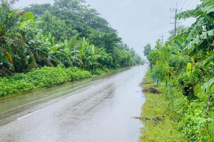 বঙ্গোপসাগরে লঘুচাপ, উপকূলজুড়ে বৃষ্টি-ঝড়ো হাওয়া
