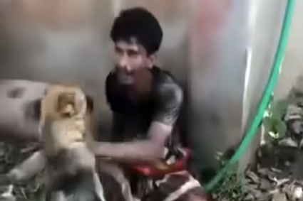 চুরির অভিযোগে কুকুর লেলিয়ে যুবককে নির্যাতন