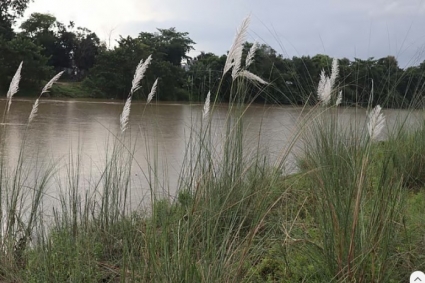 মনু নদের পাড়ে কাশবনে সাদা মেঘের রাজ্য