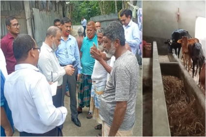 বাড়ছে অ্যানথ্রাক্স আতঙ্ক, রংপুর-গাইবান্ধায় অনুসন্ধান দল