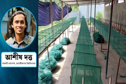 চায়না দুয়ারী জালের দৌরাত্ম্যে বিপন্ন জলজ প্রাণ ও মানুষের জীবন জীবিকা