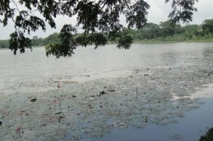 বাগেরহাটে দীঘি থেকে এক রাজমিস্ত্রির মরদেহ উদ্ধার 