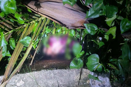 খাগড়াছড়িতে ড্রেন থেকে জীবিত নবজাতক উদ্ধার