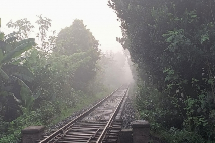 কুয়াশা দিচ্ছে শীতের বার্তা, রাজশাহীতে সর্বনিম্ন তাপমাত্রা ২২.২ ডিগ্রি