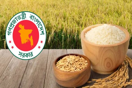 ৩৪ টাকায় ধান, ৫০ টাকা কেজি দরে সেদ্ধ চাল কিনবে সরকার