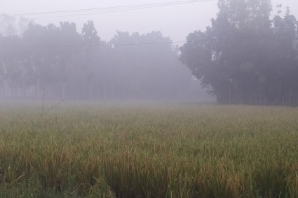 পঞ্চগড়ের তাপমাত্রা নামল ১২ ডিগ্রিতে 