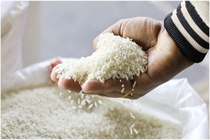 বাংলাদেশে রপ্তানির জন্য ১ লাখ টন চাল কিনতে চায় পাকিস্তান