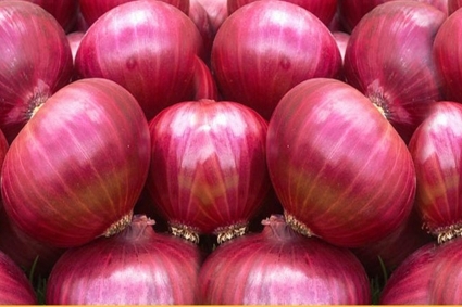 ভারত থেকে দেড় হাজার টন পেঁয়াজ আমদানির অনুমতি