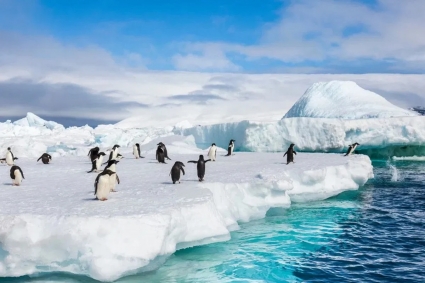 অ্যান্টার্কটিকা নিয়ে দুঃশ্চিন্তায় বিজ্ঞানীরা