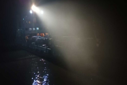 ঘন কুয়াশায় দৌলতদিয়া-পাটুরিয়া নৌরুটে ফেরি চলাচল বন্ধ