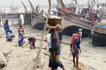 শীতের শুরুতেই সমুদ্রে মাছের সংকট, হতাশায় জেলে ও ব্যবসায়ীরা