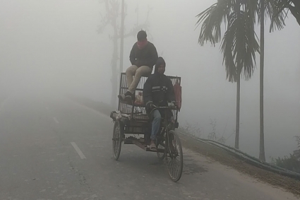 পঞ্চগড়ে তীব্র শীত ও ঘন কুয়াশা, বিপর্যস্ত জনজীবন