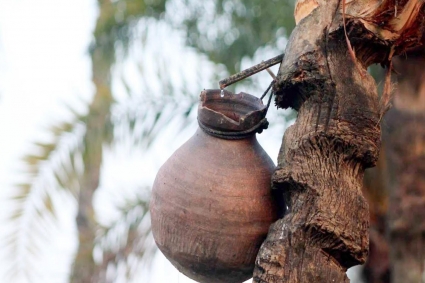 খেজুর রসের অভাবে চিনি-দুধে ভিজছে ঐতিহ্যবাহী পিঠা