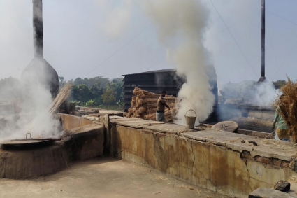 কার্বন কারখানার ধোঁয়ায় ঢেকে গেছে গ্রাম, ক্ষতির মুখে কৃষি ও পরিবেশ
