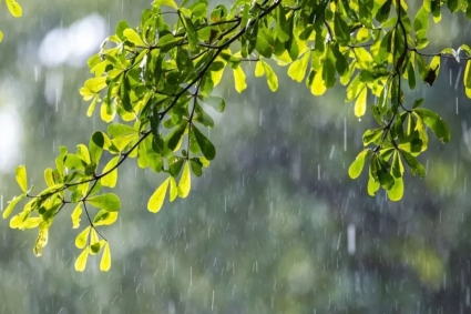 ঢাকায় হালকা বৃষ্টির সম্ভাবনা, বাড়তে পারে দিনের তাপমাত্রা