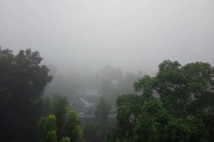 হঠাৎ ঘন কুয়াশায় ঢাকা পড়ল নীলফামারী