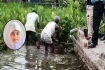 ধর্ষণের পর শিশু হত্যা : নিহত কলির পা খুঁজতে সাত দিন পর ঘটনাস্থলে পুলিশ